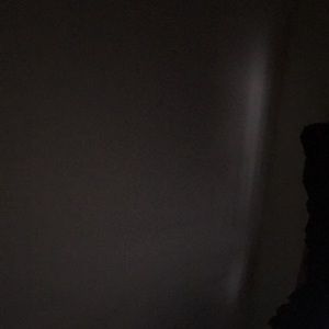 Meet your Posher, Riley